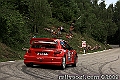 175IMK_6268