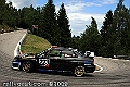 223IMK_5852