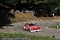 394IMK_0490
