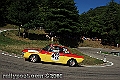 442IMK_0217