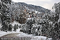 IMK_0062