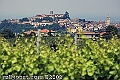 zIMK_7935