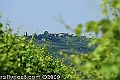 zIMK_8575