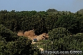03IMK_3552