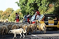 zIMK_2293