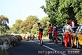 zIMK_2309