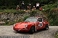 309IMK_4117