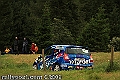 71IMK_7393