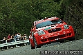 23IMK_3447